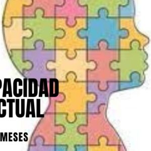DISCAPACIDAD INTELECTUAL