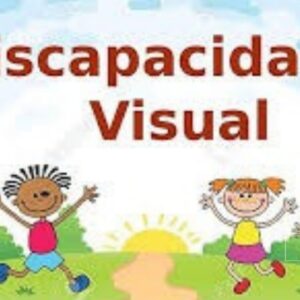 DISCAPACIDAD VISUAL: CEGUERA Y BAJA VISIÓN