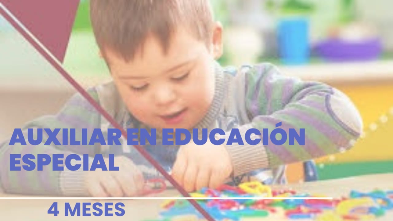 AUXILIAR EN EDUCACIÓN ESPECIAL