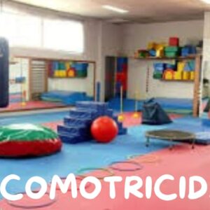 PSICOMOTRICIDAD