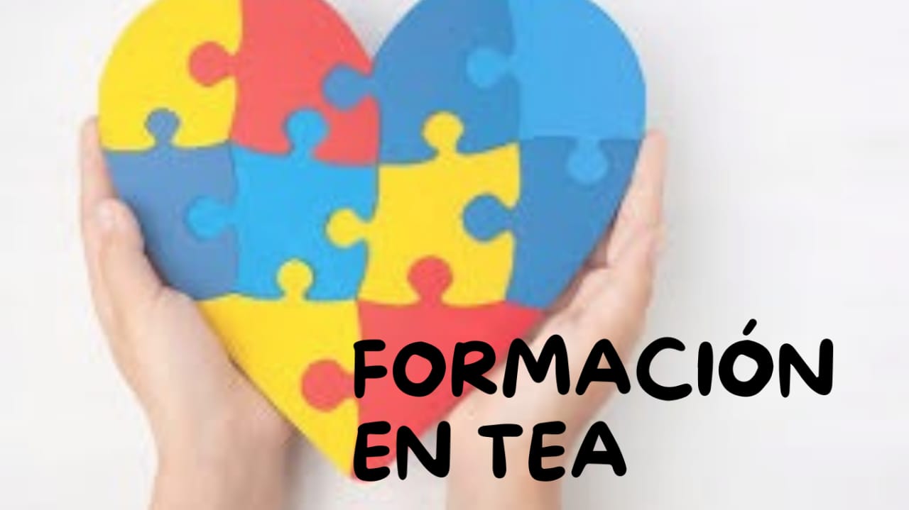 FORMACIÓN DOCENTE/PROFESIONAL EN TEA